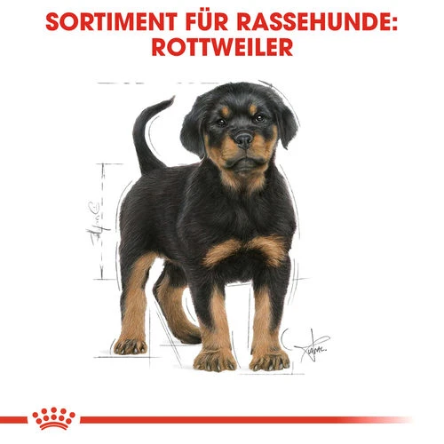 Royal Canin Rottweiler Puppy - Hundefutter â Bild 4