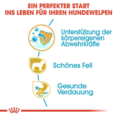 Royal Canin Yorkshire Terrier Puppy - Hundefutter â Bild 2