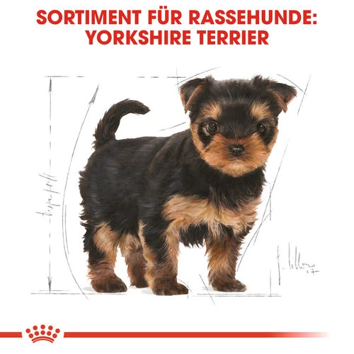 Royal Canin Yorkshire Terrier Puppy - Hundefutter â Bild 4