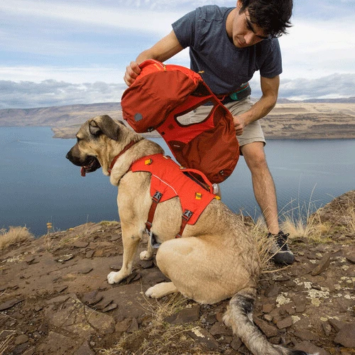 Ruffwear Palisades Pack â Bild 5