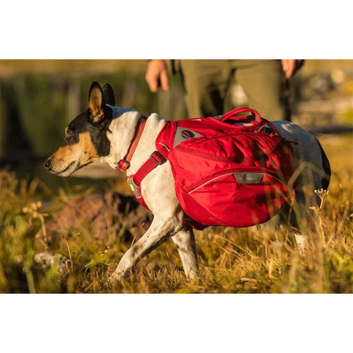 Ruffwear Palisades Pack â Bild 6