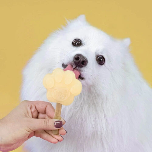 Smoofl Hundeeis Starter Kit â Bild 9