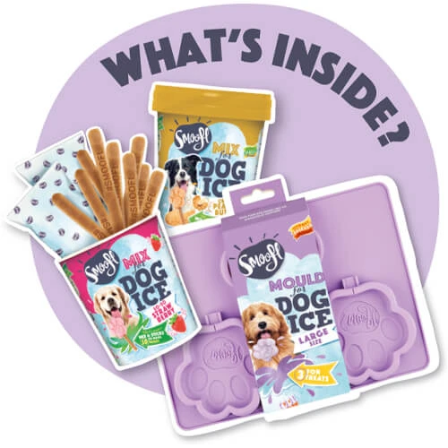 Smoofl Hundeeis Starter Kit â Bild 8
