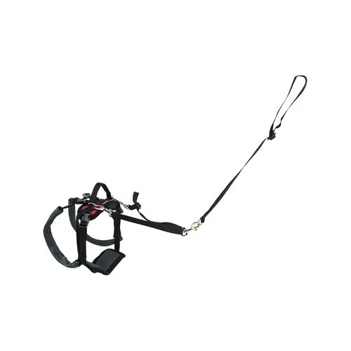 PetSafe Carelift - Tragesystem / Tragegeschirr Für Hunde – Bild 5