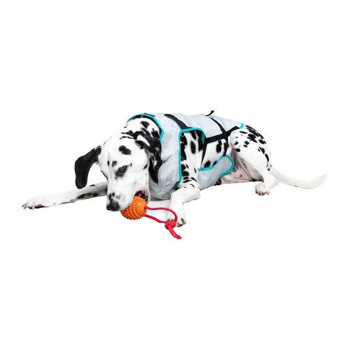 Suitical DRY Cooling Vest â Bild 5