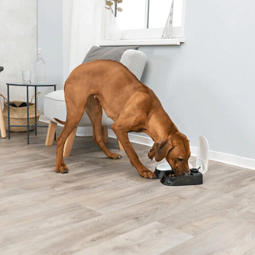 Trixie Doppel-Futterautomat TX2 – Bild 3