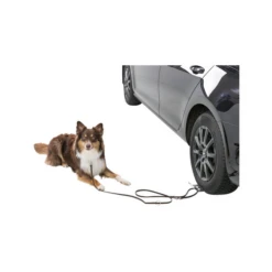 Trixie Auffahrplatte