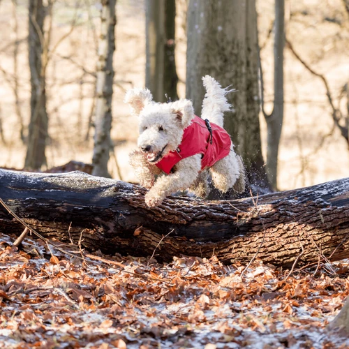 Trixie Regenjacke Vimy â Bild 3