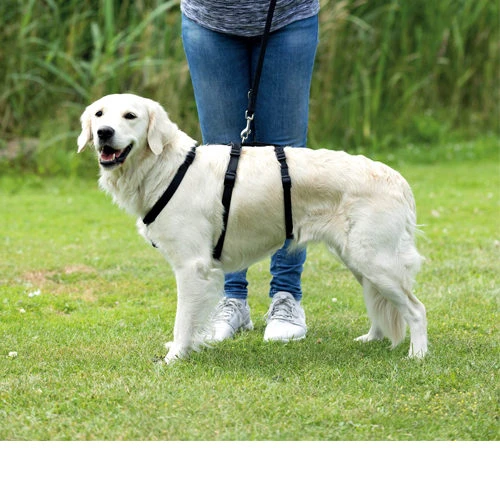 Trixie Stay Sicherheitsgeschirr – Bild 2