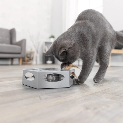 Trixie Turning Feather â Bild 3