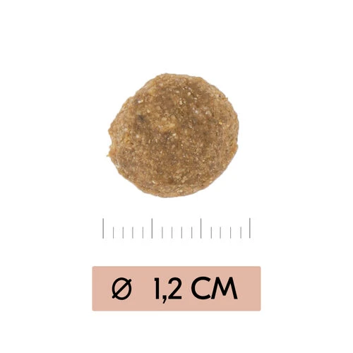 Vetality Gastrointestinal Low Fat - Hundefutter â Bild 3