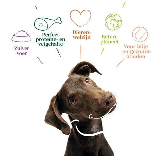 Yarrah - Getreidefreies Trockenfutter Bio â Bild 3